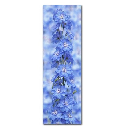Trademark Fine Art Cora Niele 'Blue Larkspur' Canvas Art, 10x32 ALI1841-C1032GG